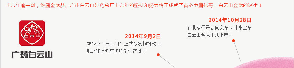 金戈發展歷程